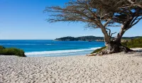 Comfort Inn Monterey Peninsula Airport Hotels in Carmel Valley