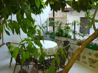 Camel Apartment - Ramah Hewan Peliharaan