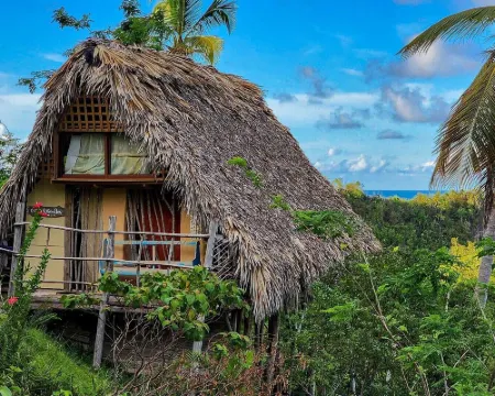 Tropical Cottage En Eco Casa Algana Hotels in El Limon