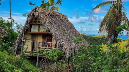 Tropical Cottage En Eco Casa Algana