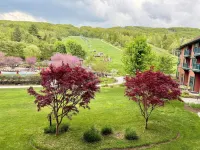 Condo at Mtn Creek  2 Bdr 2 Bath sleep 8 Mtn view #212