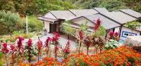 Yeongwol Brain Pension Hotels near Bubheungsa