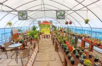 Yeongwol Vacation Garden Caravan