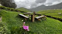 Tea Leaf Stays by Brown Tree Resorts - Aamiaismajoitus