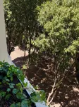 Boutique Hôtel Provencia Hotel in zona Randonnées théâtrales Marcel Pagnol Cie Dans la cour des Grands