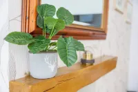 Howard Cottage Hotels in Evesham