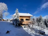 Beautiful modern chalet, exceptional mountain and pine views