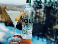 Panörama: Mini house in nature