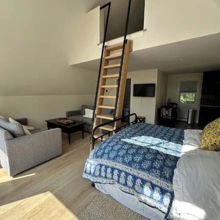 Modern guesthouse in Mad River ValleyFernstone
