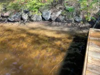 Classic Quaint Muskoka