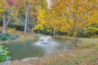 25-Acre Mountain Retreat w/ Trails, Pond, Hot Tub - Homestays