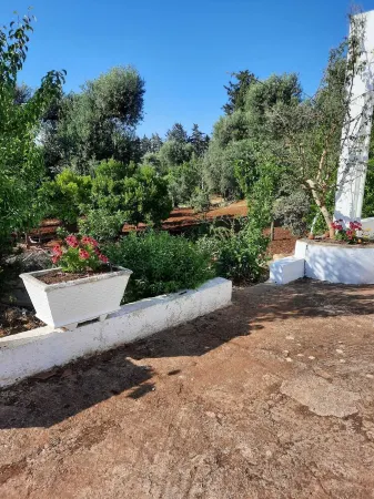 Trullo in Valle D'Itria Отели в г. Челье-Мессапика