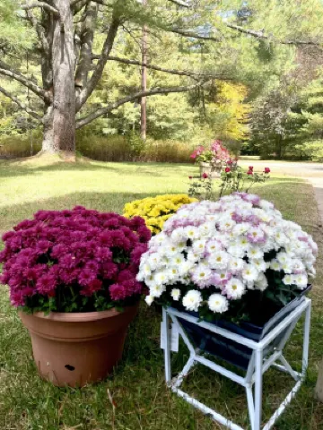 River front house with HOT TUB! 奧西皮酒店