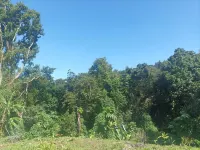 Villa  Bon Air Surrounded by Nature and Close to the Sea.