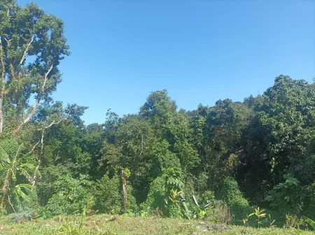 Villa  Bon Air Surrounded by Nature and Close to the Sea.