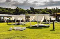 Cozy villa with pool nestled among the ancient olive trees of Cilento