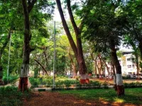 Accommodation at most reasonable price