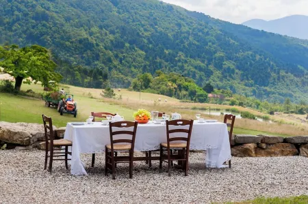 3-bedroom apartment in Tuscany, ancient farm, nature, swimming pool, 8 guests