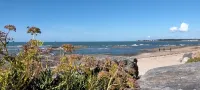 Newly renovated studio 2 minutes' walk from the beach and town center
