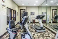 Sleep Inn & Suites West Medical Center - Kuntosalit