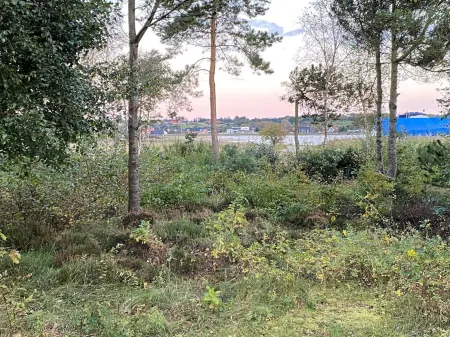 "Bosi" - 100m to the Fjord