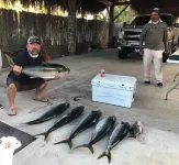 Loreto 80 - NEW STUDIO Cardon, in Downtown by the beach.