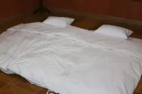 Damyang Natural Nadeuri Pension