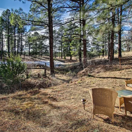 Near Fool Hollow Lake and Trails Family Cabin