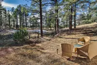 Near Fool Hollow Lake and Trails Family Cabin - 3-Star