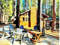 Fabulous, Family - Friendly Sunny_Bear_Chalet