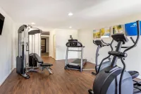 Comfort Inn & Suites Airport - gimnasio