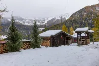 Beautiful Apartment Under Owners Chalet