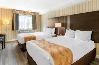 Quality Hotel & Suites - Ramah Hewan Peliharaan