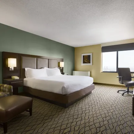 Holiday Inn & Suites DULUTH-DOWNTOWN by IHG