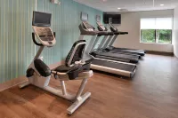Holiday Inn Express RALEIGH-DURHAM AIRPORT by IHG - Gym