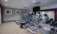 Holiday Inn OCEANSIDE CAMP PENDLETON AREA by IHG - Gym