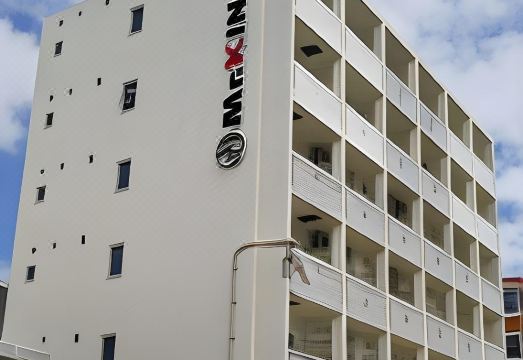 미스터 긴조 골든 캣 주방 시설