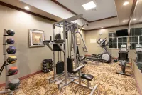 La Quinta Inn & Suites by Wyndham Lindale - Gym