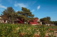 Apartments Katoro Plava Laguna - WiFi