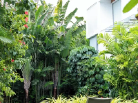 El Tesoro-II J3 Hotels in Mapusa