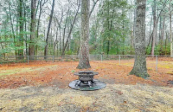 6 Mi to Salisbury Forest-View Sanctuary!