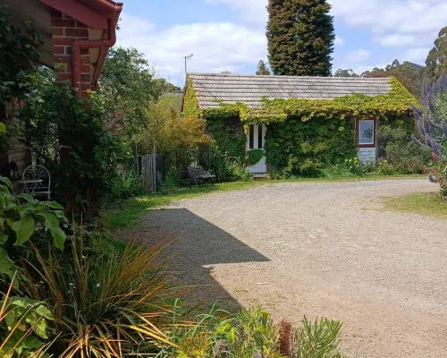 Romantic Farmlet Escape - Mini Goats & Firepit Hotels in Penguin