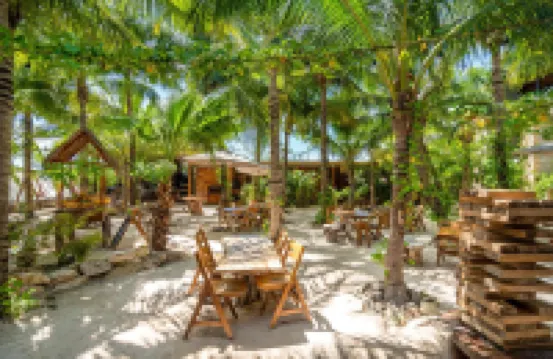 瑪雅猴子女人島社交飯店 住宿飯店