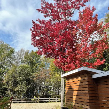 Gîte Nature et Pinceaux
