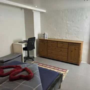 Basement Apartment in Villa