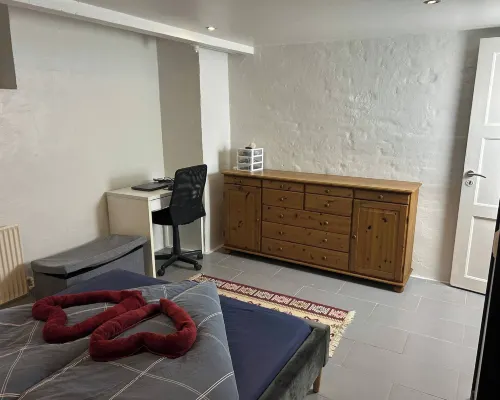 Basement Apartment in Villa Hotel di Odense