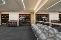 The Landmark Nicosia, Autograph Collection - Gym