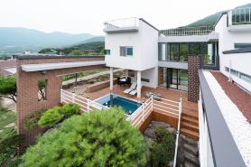 대구 사슴은 꽃이었다