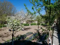 Karin's B&B Hotels in 