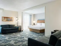 Hampton Inn North Myrtle Beach-Harbourgate Hotels in Horry County
